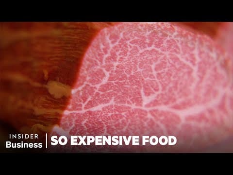scientific artwork for exploration about The Magic of Wagyu Beef — technical illustration, specimen-plate style, scientific diagram aesthetic in contemplative precision, intellectual clarity